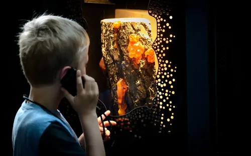 Hvidbjerg Strand Camping Resort Tirpitz Ravudstilling Dreng