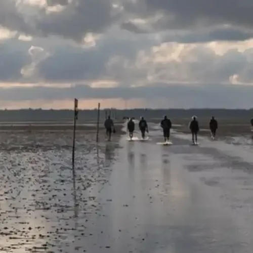 Hvidbjerg Strand Camping Resort Natur Skallingen Vandring