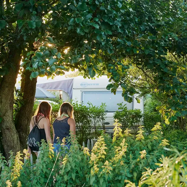 Hvidbjerg Strand Camping Resort Sti