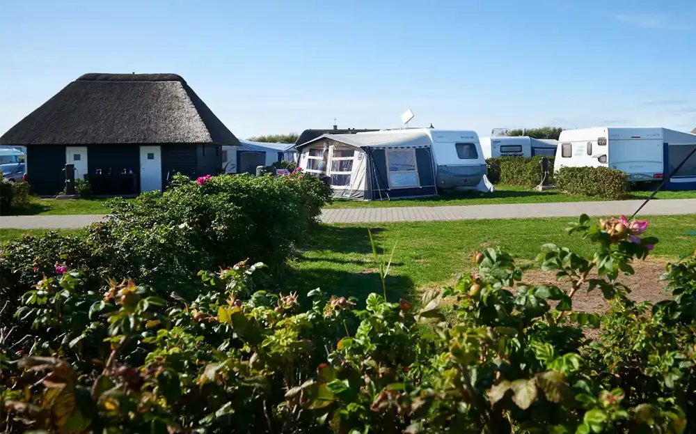 campingurlaub-in-d-nemark-direkt-an-der-nordsee-und-bl-vand