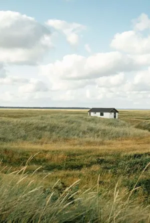 Hvidbjerg Strand Camping Resort Natur Hytte Panorama