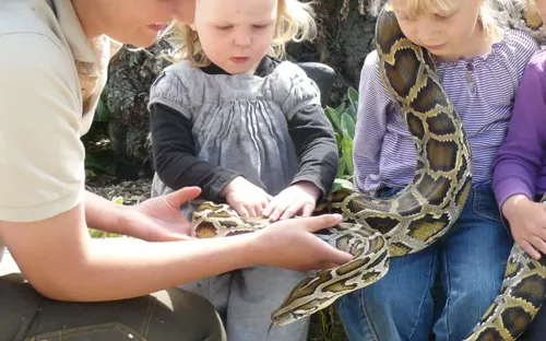 Hvidbjerg Strand Camping Resort Blaavand Zoo Slange